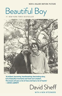 Beautiful Boy: A Father's Journey through His Son's Addiction