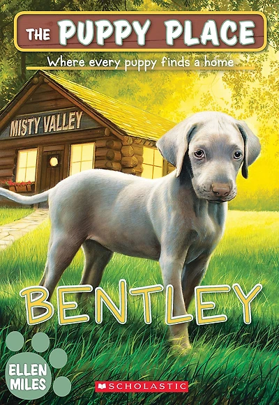 Bentley (The Puppy Place Series #53)