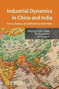 Industrial Dynamics China and India: Firms, Clusters, Different Growth Paths