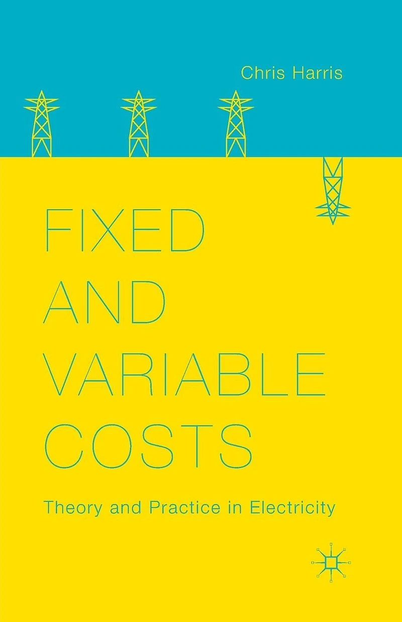 Fixed and Variable Costs: Theory Practice Electricity
