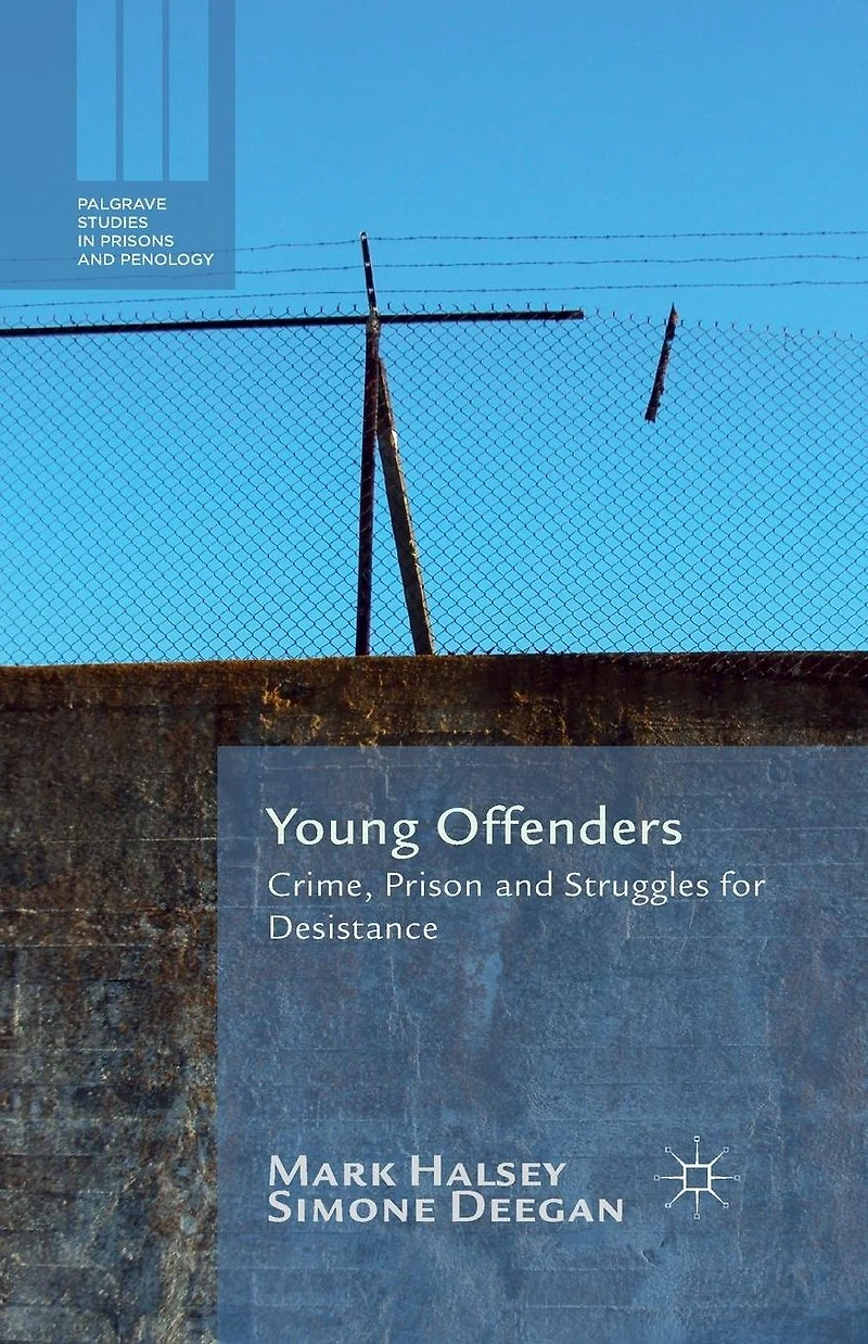 Young Offenders: Crime, Prison and Struggles for Desistance