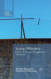Young Offenders: Crime, Prison and Struggles for Desistance