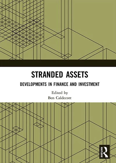 Stranded Assets: Developments Finance and Investment