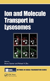 Ion and Molecule Transport Lysosomes