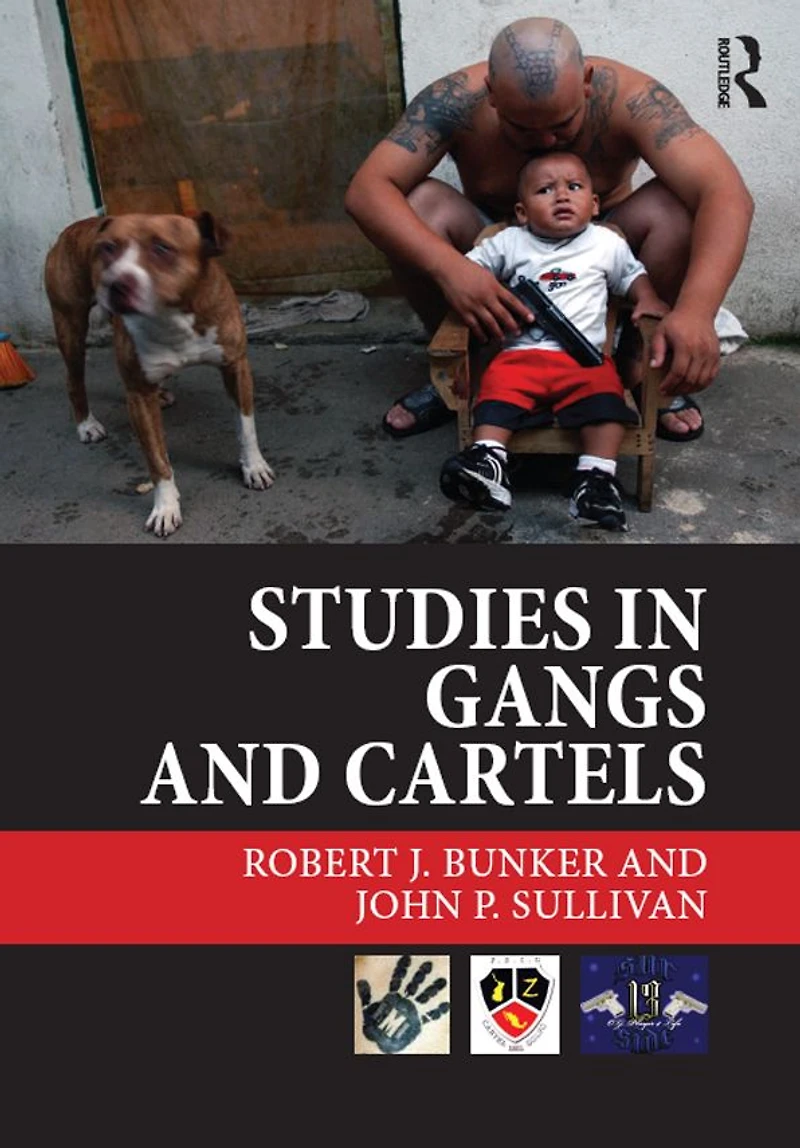 Studies Gangs and Cartels