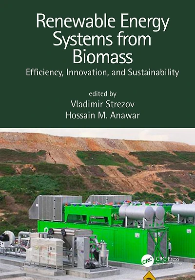 Renewable Energy Systems from Biomass: Efficiency, Innovation and Sustainability