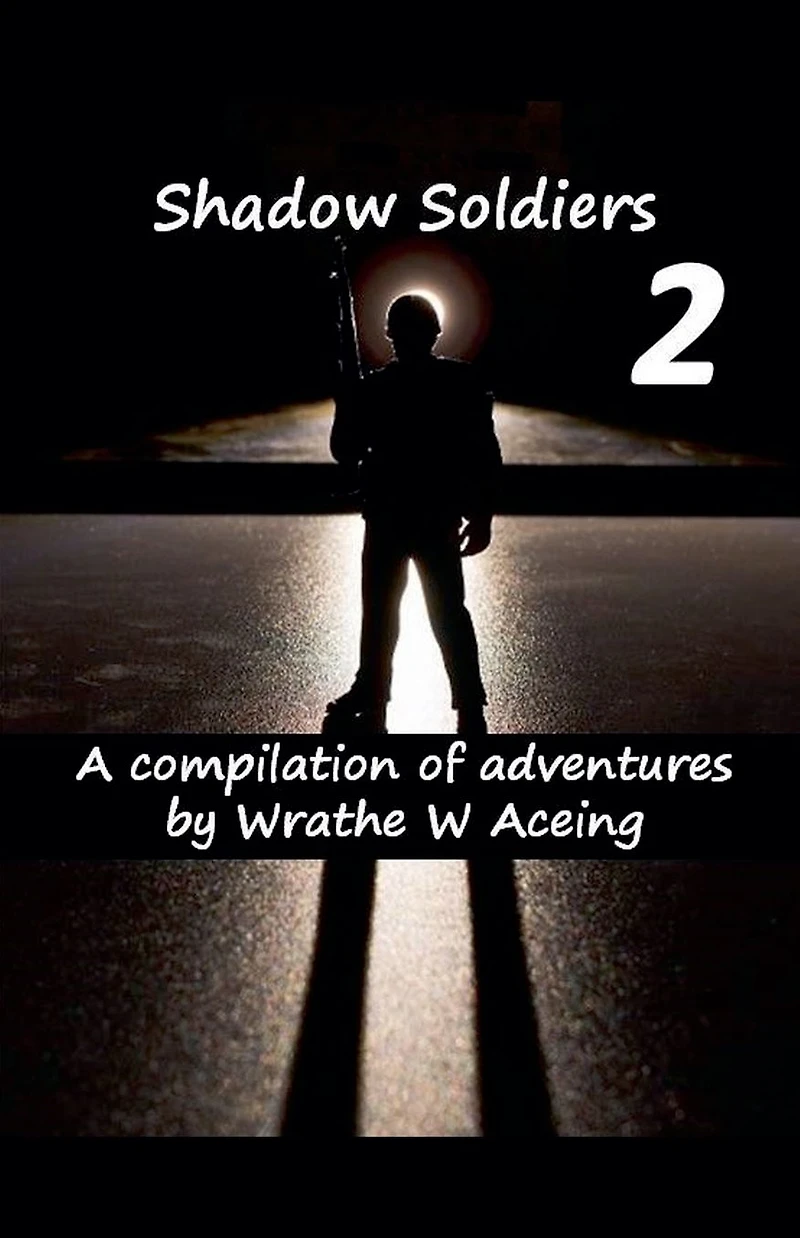 Shadow Soldiers #2 (Shadow Soldier Series, #2)