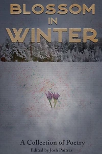 Blossom In Winter