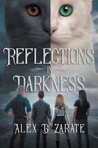 Reflections Darkness (Connections, #2)