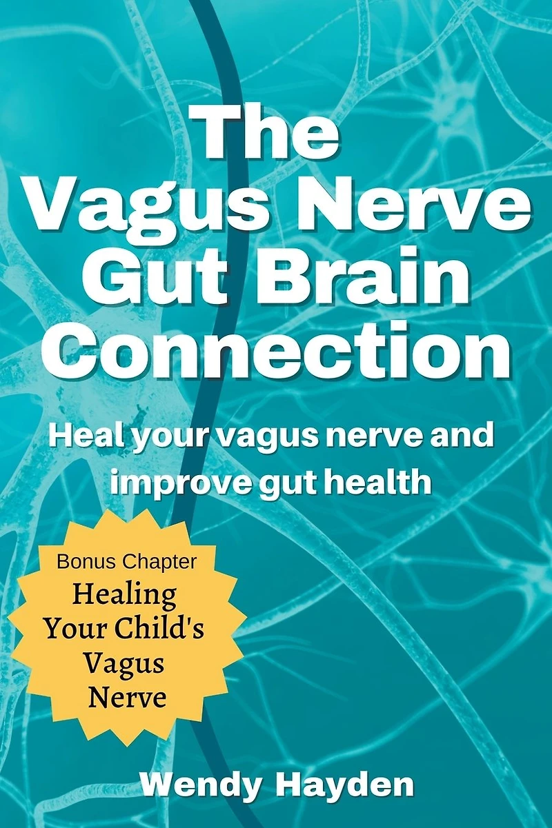 The Vagus Nerve Gut Brain Connection