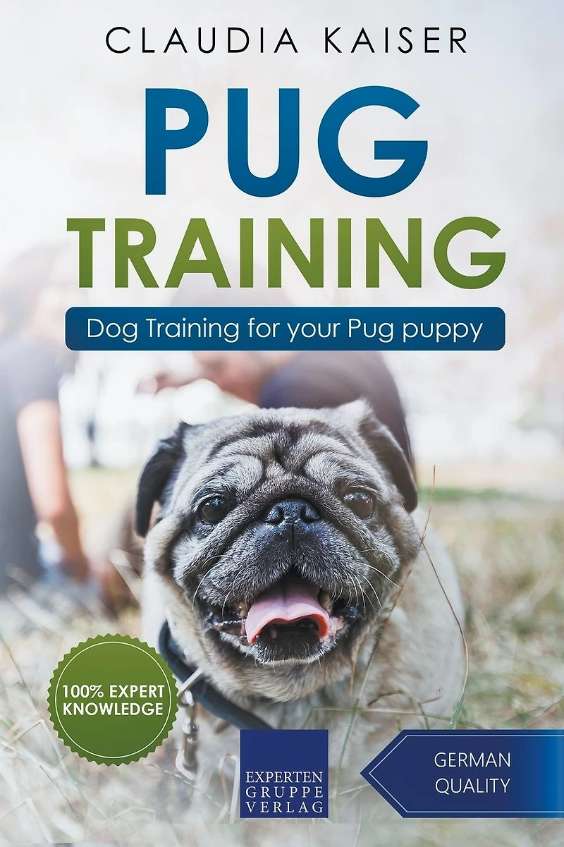 Pug Training: Dog Training for Your Puppy
