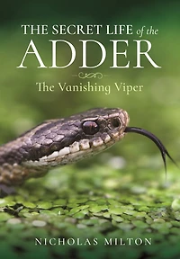 The Secret Life of Adder: Vanishing Viper