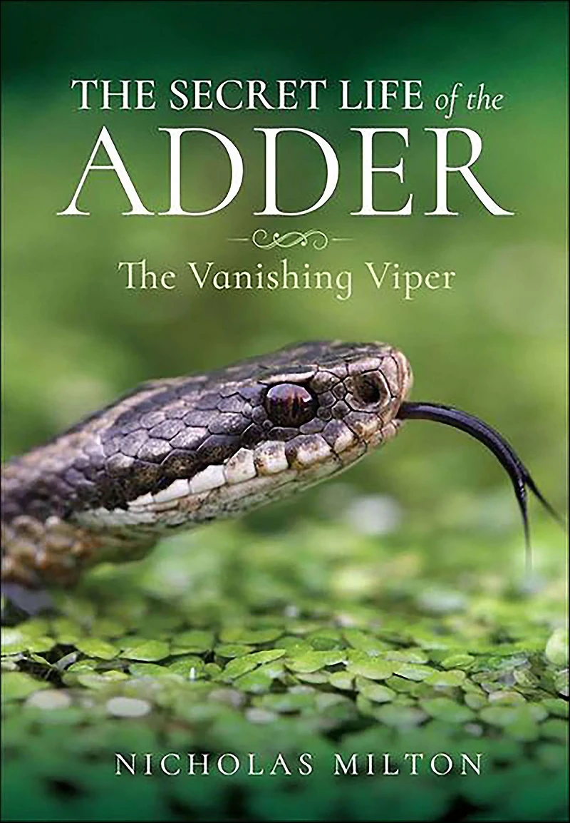 The Secret Life of Adder: Vanishing Viper