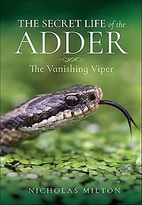 The Secret Life of Adder: Vanishing Viper