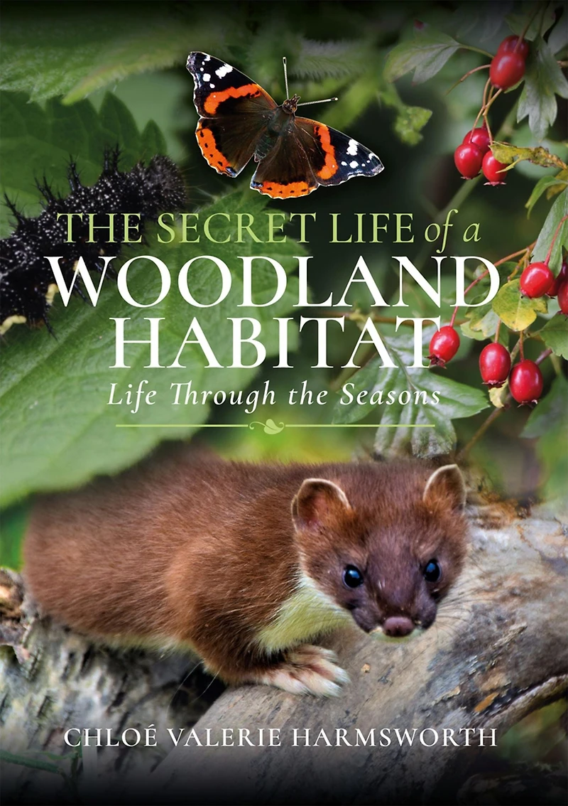 the Secret Life of a Woodland Habitat: Through Seasons