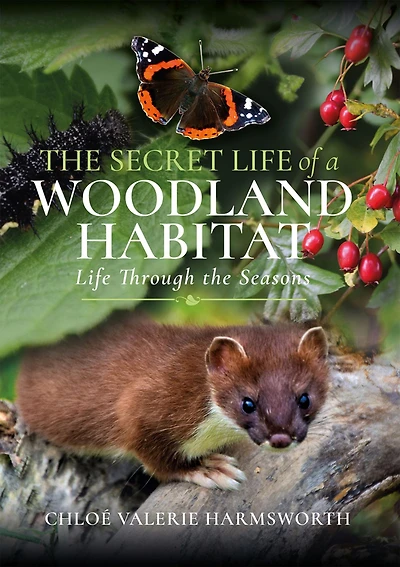 the Secret Life of a Woodland Habitat: Through Seasons