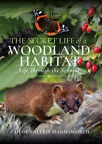 the Secret Life of a Woodland Habitat: Through Seasons