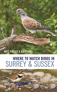 Where to Watch Birds Surrey and Sussex