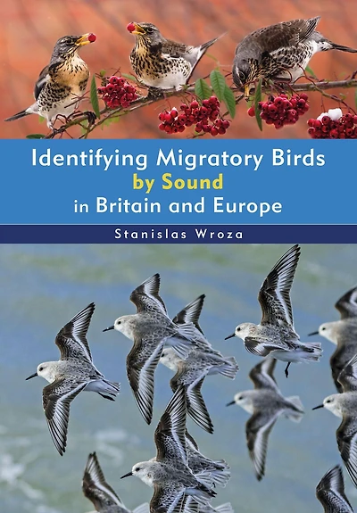 Identifying Migratory Birds by Sound Britain and Europe
