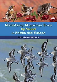 Identifying Migratory Birds by Sound Britain and Europe