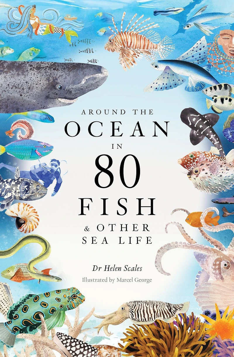 Around the Ocean 80 Fish and other Sea Life