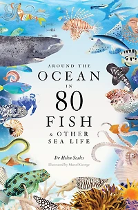 Around the Ocean 80 Fish and other Sea Life