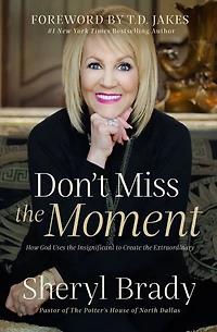 Don't Miss the Moment: How God Uses Insignificant to Create Extraordinary