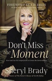 Don't Miss the Moment: How God Uses Insignificant to Create Extraordinary
