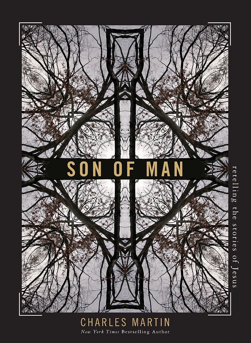 Son of Man: Retelling the Stories Jesus
