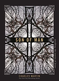 Son of Man: Retelling the Stories Jesus