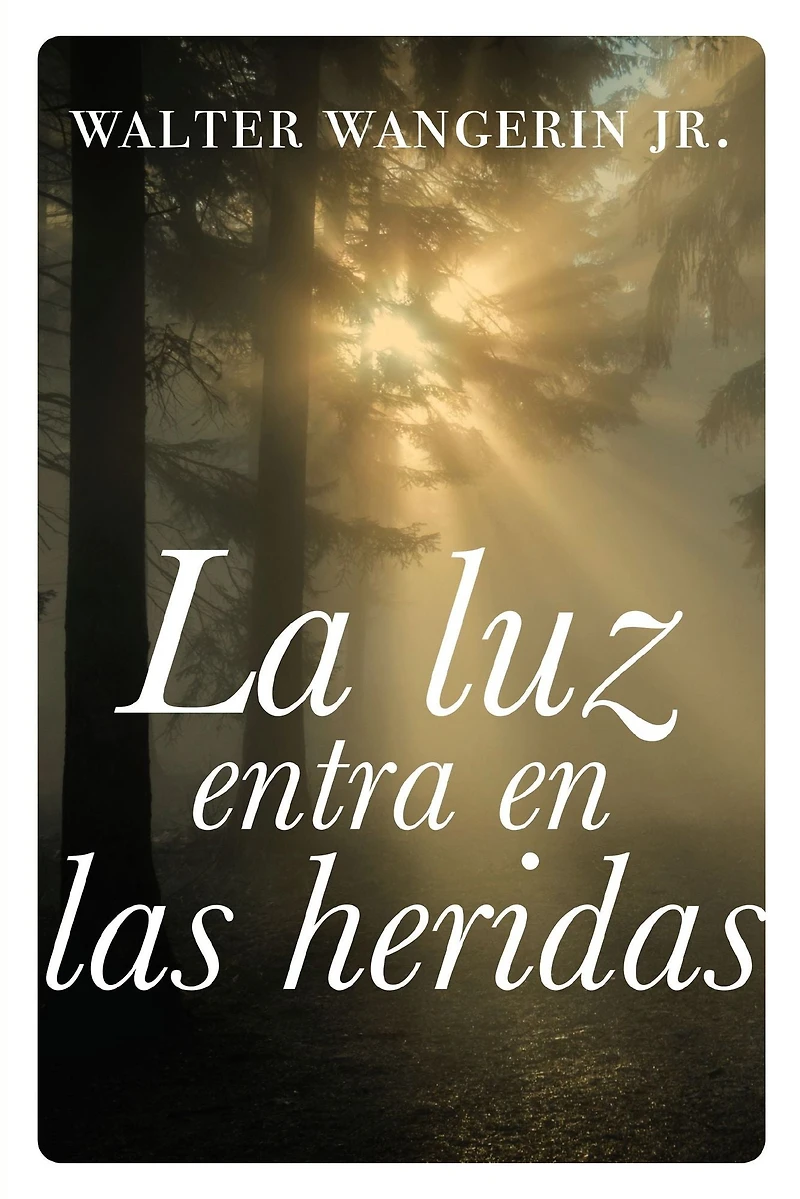 la luz entra en las heridas: Historias sobre gracia divina de Dios