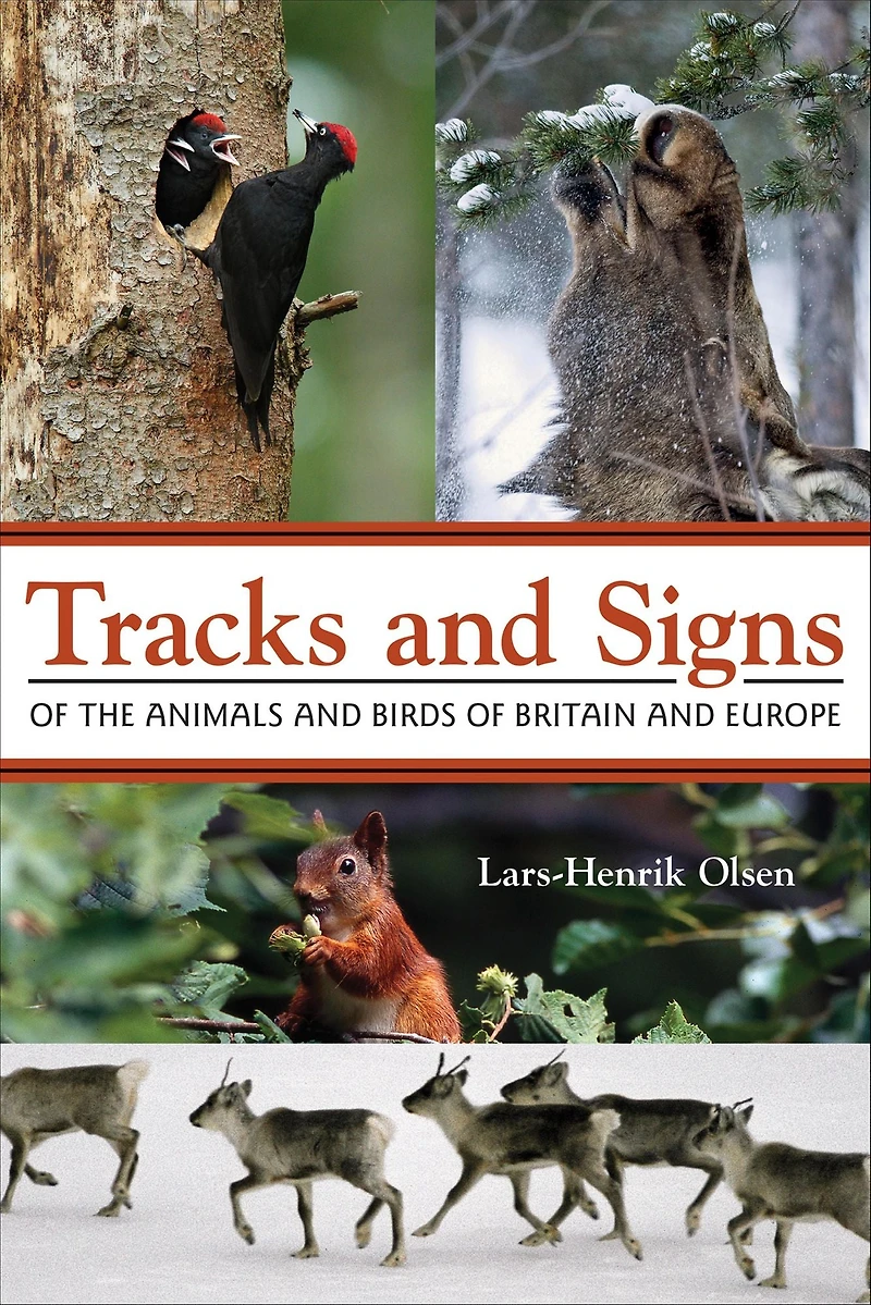 Tracks and Signs of the Animals Birds Britain Europe
