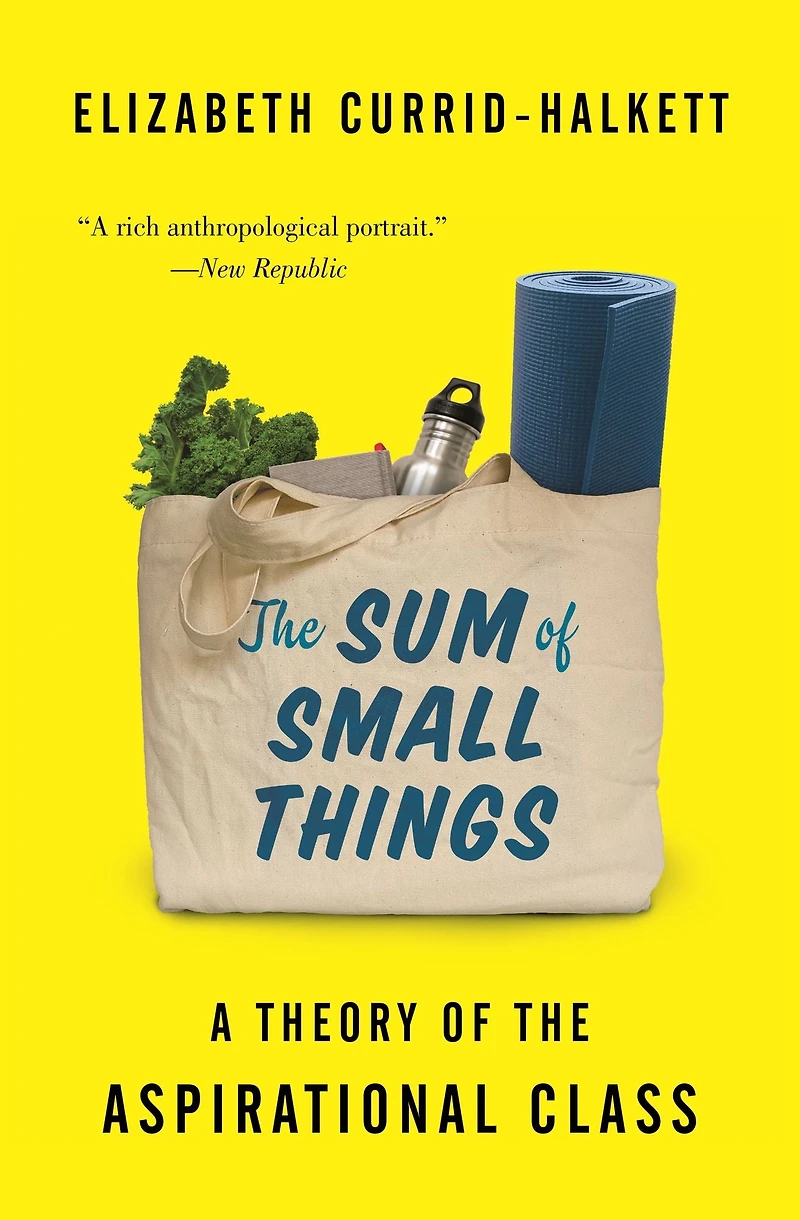 the Sum of Small Things: A Theory Aspirational Class