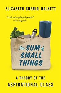 the Sum of Small Things: A Theory Aspirational Class