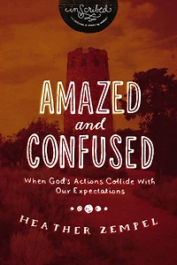 Amazed and Confused: When God's Actions Collide With Our Expectations