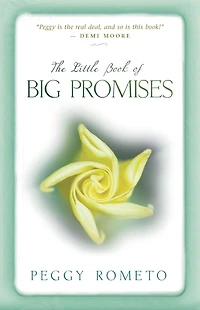The Little Book of Big Promises: A Three-Step Process for Uncovering Your Soul's Plan