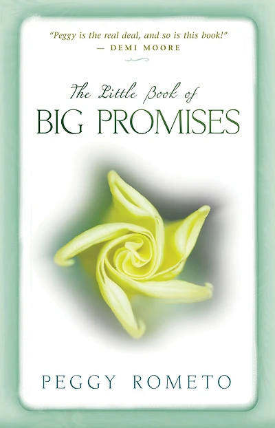 The Little Book of Big Promises: A Three-Step Process for Uncovering Your Soul's Plan