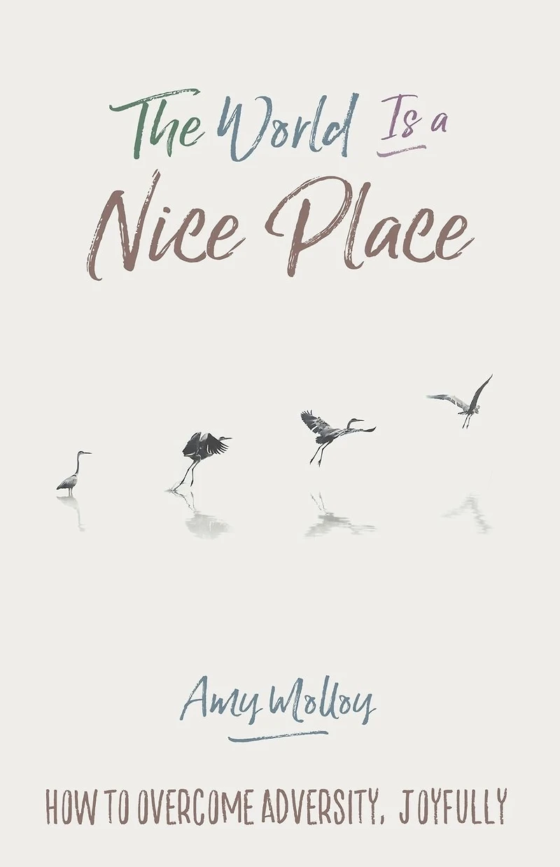 The World Is a Nice Place: How to Overcome Adversity, Joyfully