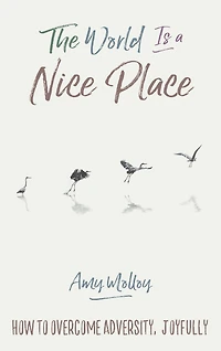 The World Is a Nice Place: How to Overcome Adversity, Joyfully