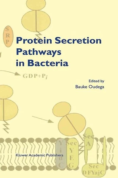 Protein Secretion Pathways Bacteria