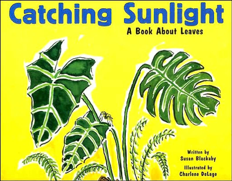 Catching Sunlight: A Book About Leaves