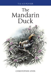 The Mandarin Duck