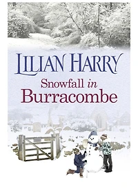 Snowfall Burracombe
