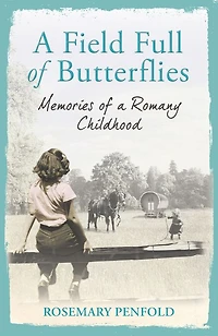 A Field Full of Butterflies