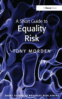 A Short Guide to Equality Risk