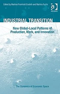 Industrial Transition: New Global-Local Patterns of Production, Work, and Innovation