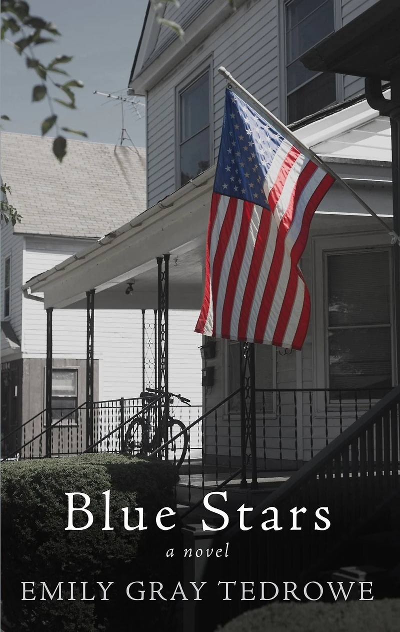 Blue Stars: A Novel