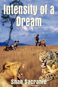 Intensity of a Dream