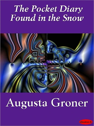 The Case Of Pocket Diary Found Snow