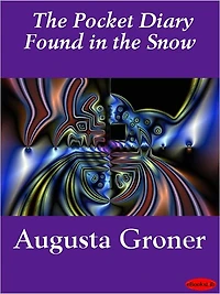 The Case Of Pocket Diary Found Snow